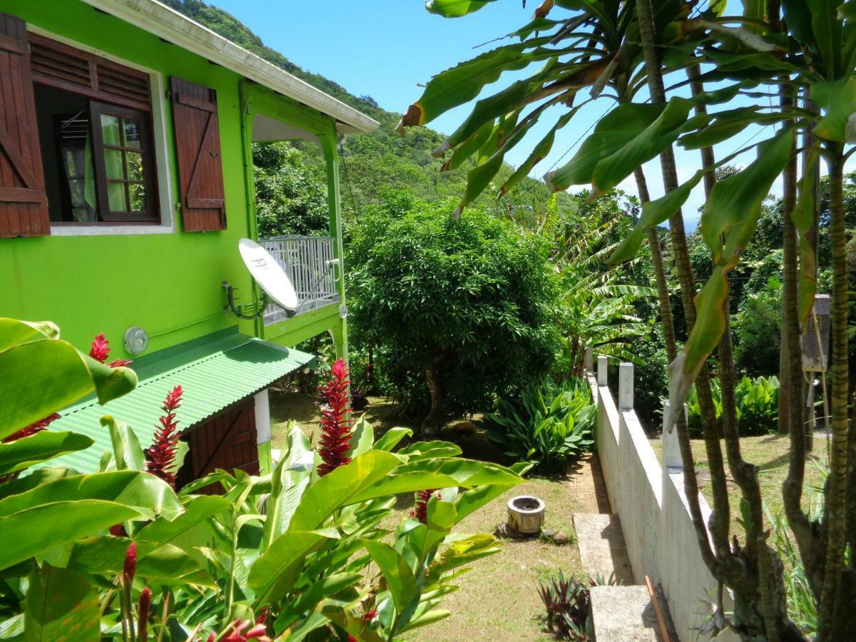 Jardin Bananier Apartment Deshaies Ngoại thất bức ảnh